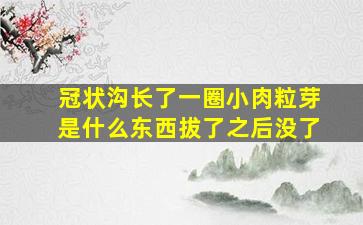 冠状沟长了一圈小肉粒芽是什么东西拔了之后没了