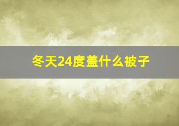 冬天24度盖什么被子