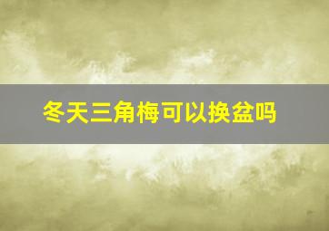 冬天三角梅可以换盆吗