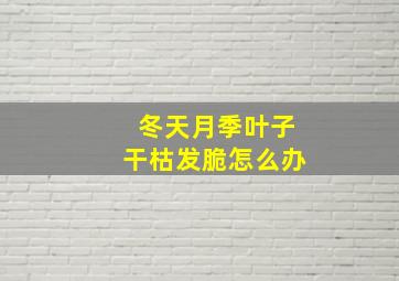 冬天月季叶子干枯发脆怎么办