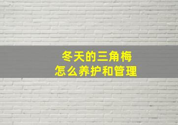 冬天的三角梅怎么养护和管理