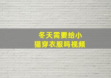 冬天需要给小猫穿衣服吗视频