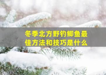 冬季北方野钓鲫鱼最佳方法和技巧是什么