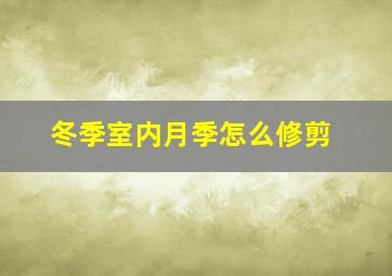 冬季室内月季怎么修剪