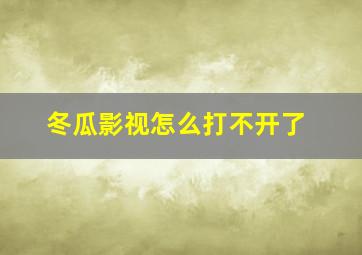 冬瓜影视怎么打不开了