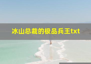 冰山总裁的极品兵王txt