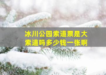 冰川公园索道票是大索道吗多少钱一张啊