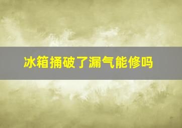 冰箱捅破了漏气能修吗