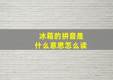 冰箱的拼音是什么意思怎么读