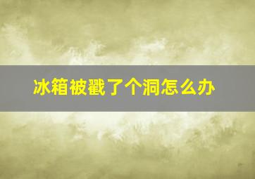 冰箱被戳了个洞怎么办