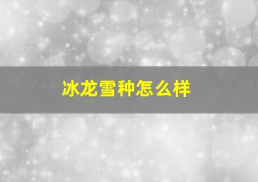 冰龙雪种怎么样