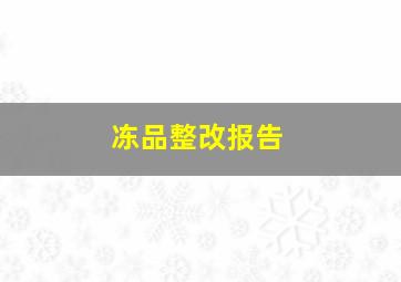 冻品整改报告