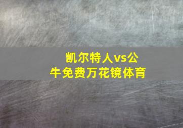 凯尔特人vs公牛免费万花镜体育