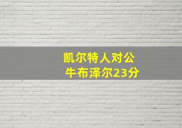 凯尔特人对公牛布泽尔23分