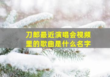 刀郎最近演唱会视频里的歌曲是什么名字