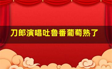 刀郎演唱吐鲁番葡萄熟了