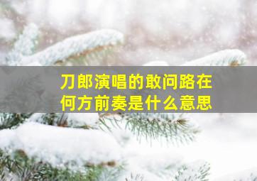 刀郎演唱的敢问路在何方前奏是什么意思