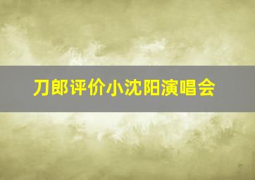 刀郎评价小沈阳演唱会