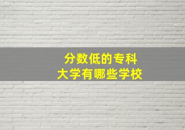 分数低的专科大学有哪些学校