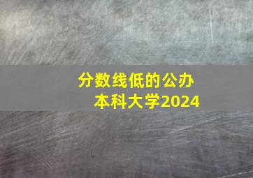 分数线低的公办本科大学2024