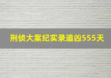 刑侦大案纪实录追凶555天