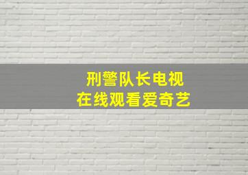 刑警队长电视在线观看爱奇艺