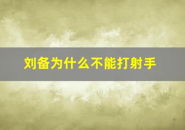 刘备为什么不能打射手