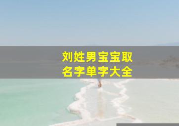 刘姓男宝宝取名字单字大全