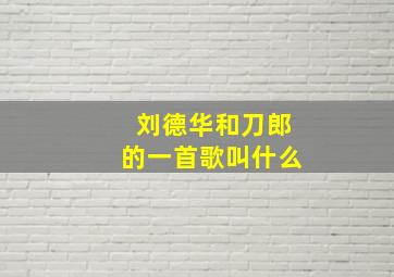 刘德华和刀郎的一首歌叫什么