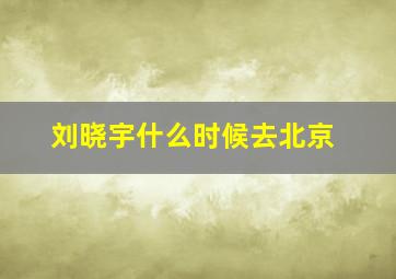 刘晓宇什么时候去北京