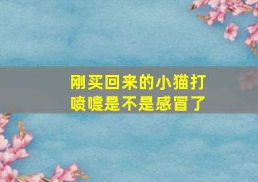 刚买回来的小猫打喷嚏是不是感冒了