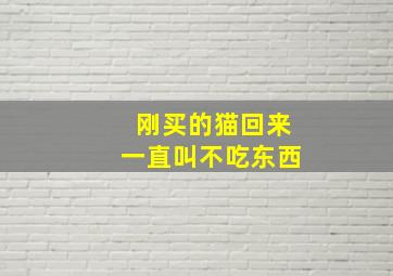 刚买的猫回来一直叫不吃东西