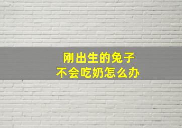 刚出生的兔子不会吃奶怎么办