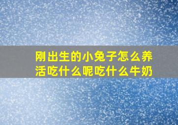 刚出生的小兔子怎么养活吃什么呢吃什么牛奶