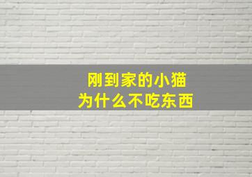 刚到家的小猫为什么不吃东西