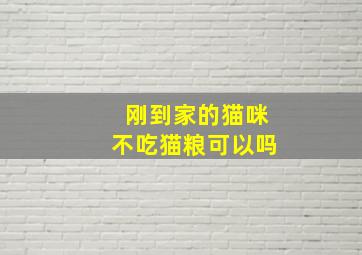 刚到家的猫咪不吃猫粮可以吗