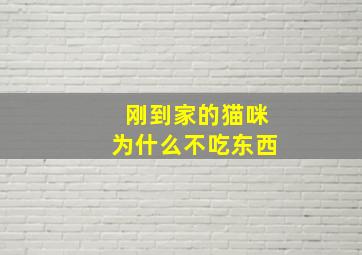 刚到家的猫咪为什么不吃东西