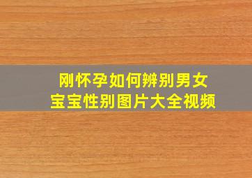 刚怀孕如何辨别男女宝宝性别图片大全视频