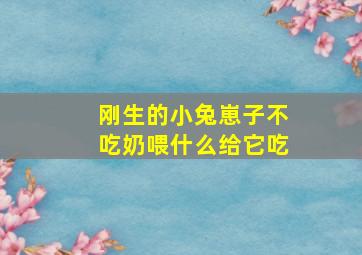 刚生的小兔崽子不吃奶喂什么给它吃