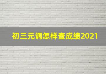 初三元调怎样查成绩2021