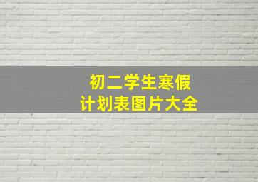 初二学生寒假计划表图片大全