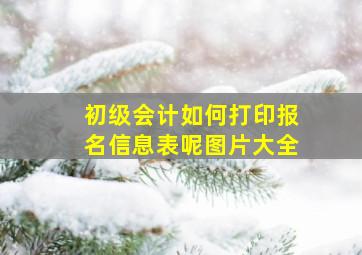 初级会计如何打印报名信息表呢图片大全