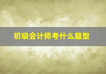 初级会计师考什么题型