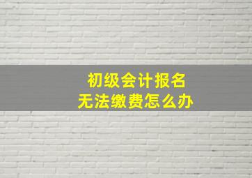 初级会计报名无法缴费怎么办