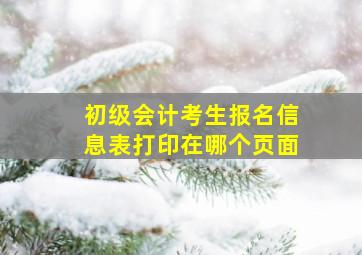 初级会计考生报名信息表打印在哪个页面