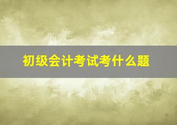 初级会计考试考什么题