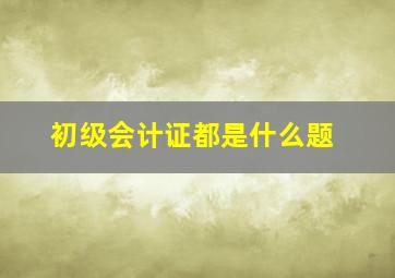 初级会计证都是什么题