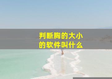 判断胸的大小的软件叫什么