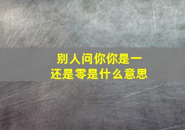 别人问你你是一还是零是什么意思