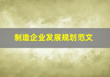 制造企业发展规划范文